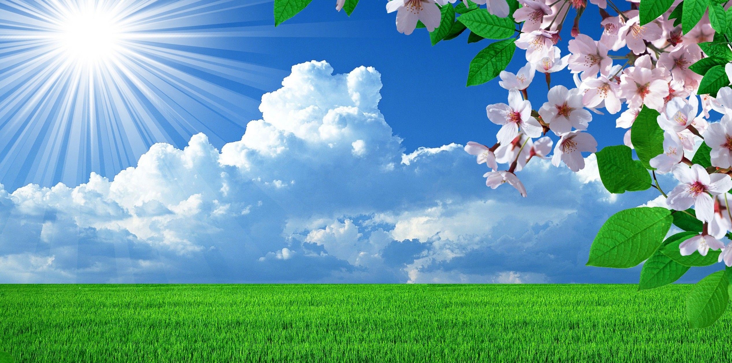 make_magic_happen_it_s_your_call_