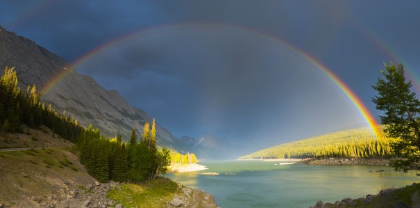 the_past_is_ever_present