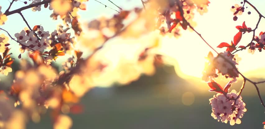 the_strength_of_failure