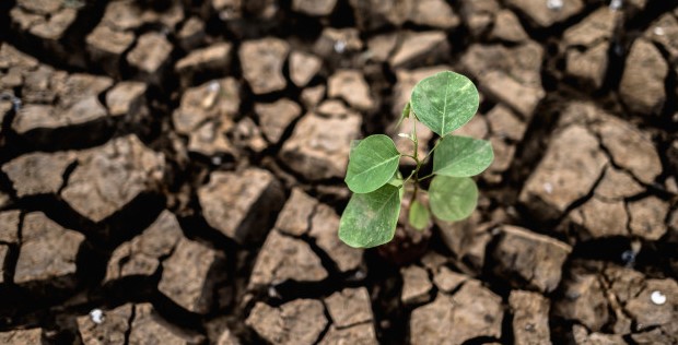 we_must_live_deliberately